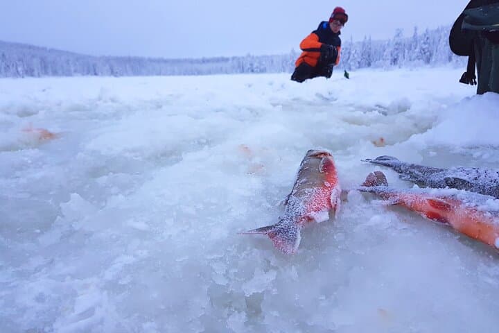 Experience Ice Fishing and Hunt for Arctic Char 3