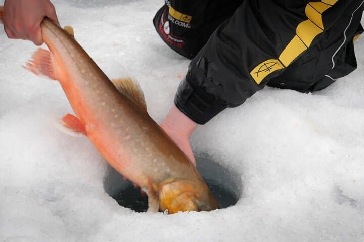 Experience Ice Fishing and Hunt for Arctic Char 5