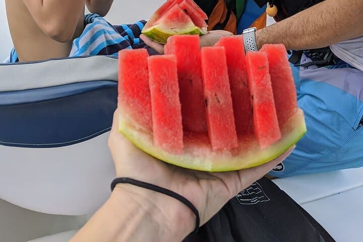 Family Package Private Fishing and Snorkeling 4