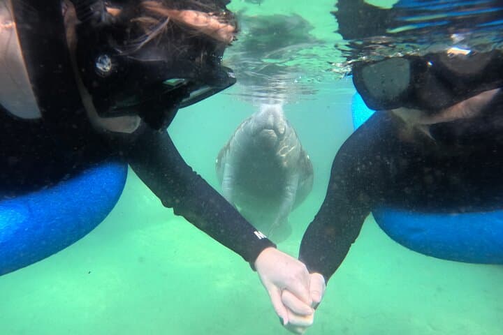 Private Manatee Swim Tour 4
