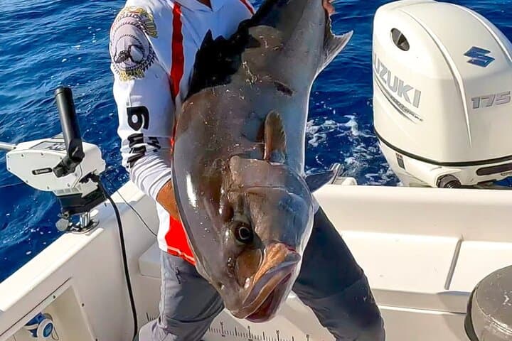 Exclusive Sport Fishing Adventure in Saint Laurent du Var