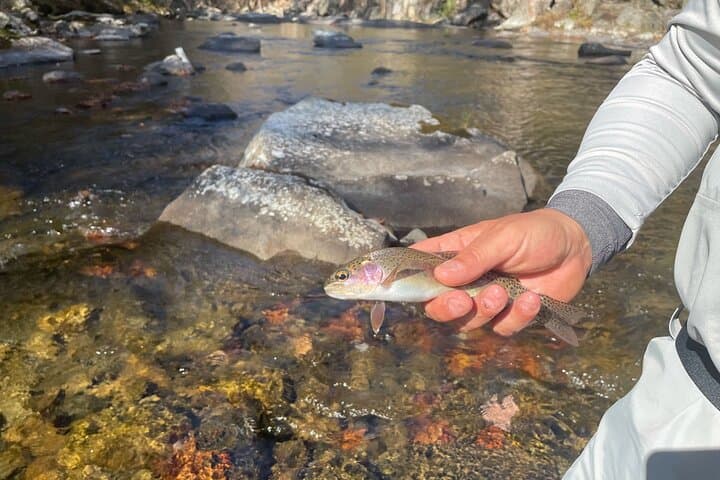 Smoky Mountains National Park Half Day Fly Fishing 3