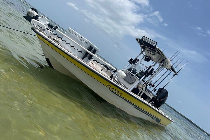  Private Fishing Charter in Tampa 4