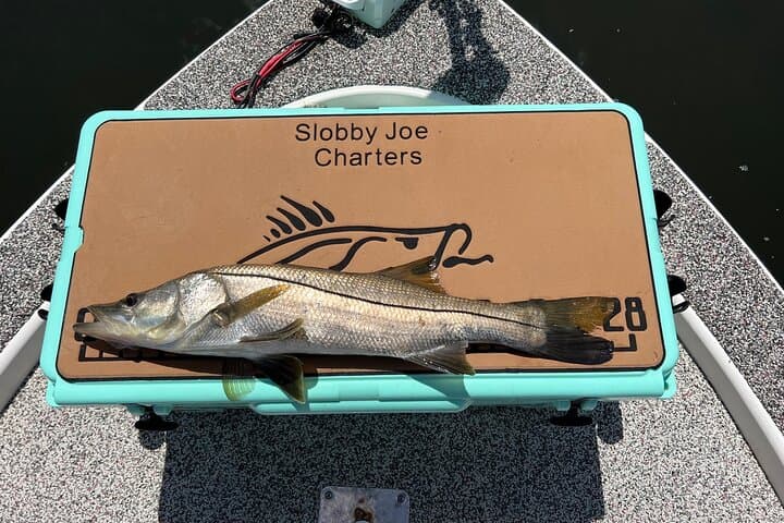  Private Fishing Charter in Tampa 5