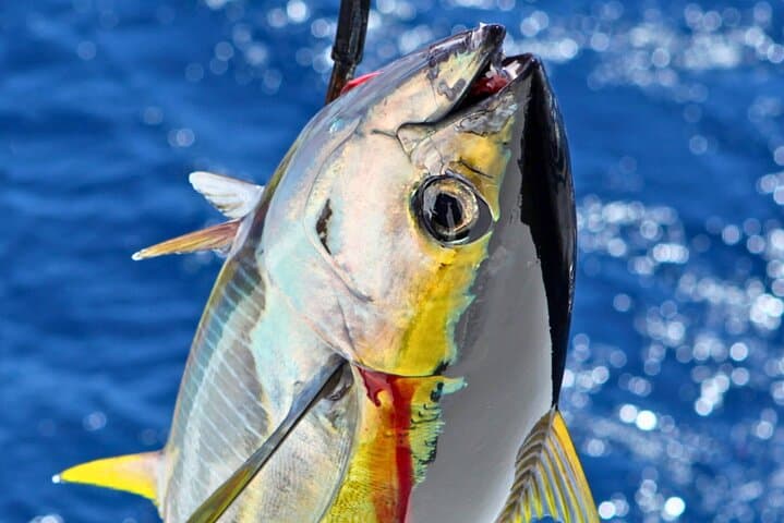 From Onna Village (Maeda Fishing Port)!Fishing and trolling | Fully chartered boat charter plan (3 hour course) 3