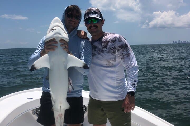 Shark Fishing Tampa Bay 4