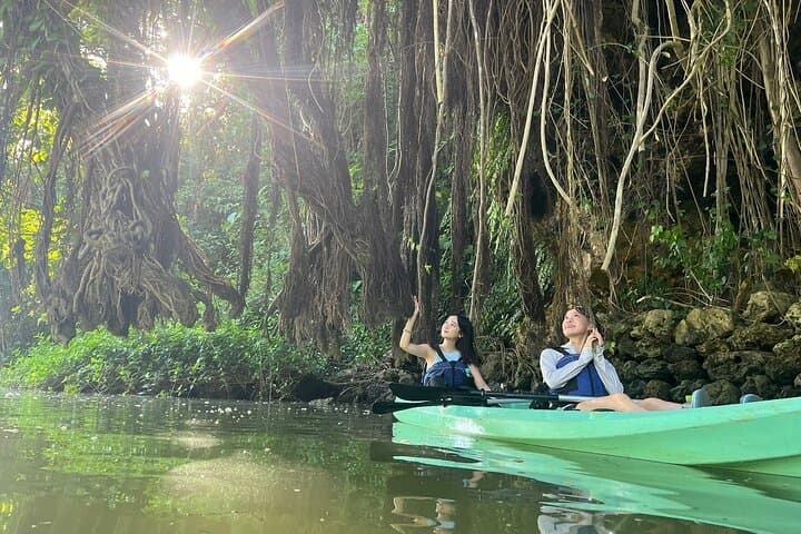 Mangrove Kayak ＆ Sea Fishing Experience in Okinawa 4