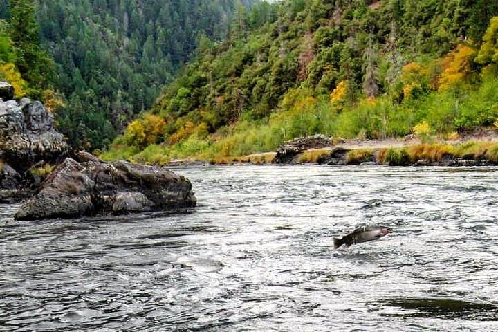 Whitewater Fishing and Rafting Experience in Rogue River 3