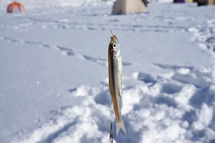 Half-Day Smelt Fishing Experience with Sapporo Pick-Up