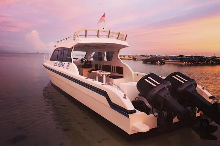 Private Yacht Trip Tour Bali - 8 Hours Day Trip Nusa Penida - SH2 2