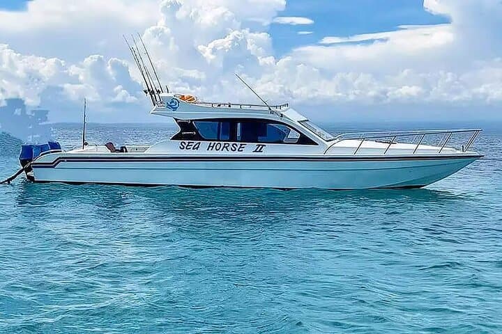 Private Yacht Trip Tour Bali - 8 Hours Day Trip Nusa Penida - SH2