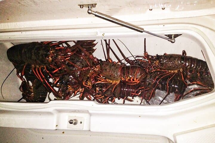 San Diego Lobster Hoop Netting Charter up to 6 People 2