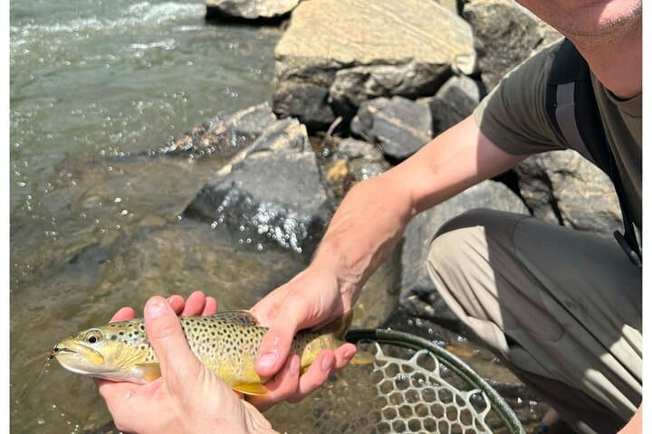 Half Day Fly Fishing Lesson on Clear Creek near Denver 5