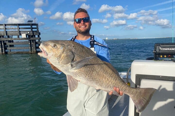 Half day fishing Charter in St. Petersburg Florida 2