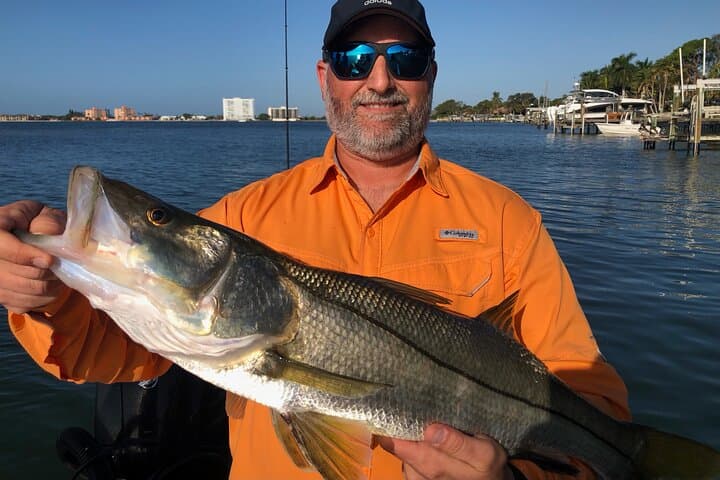 Half day fishing Charter in St. Petersburg Florida 4