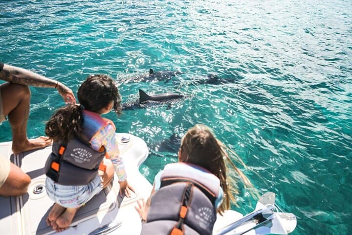 Venture Wildlife Snorkel Charter from Ko Olina 5