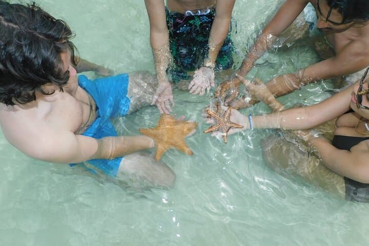 Adventure Stingray City, Snorkeling the Reef and Star Fish Point 2