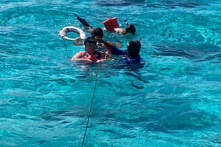 Adventure Stingray City, Snorkeling the Reef and Star Fish Point 4