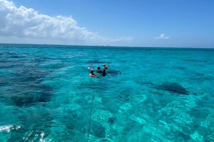 Adventure Stingray City, Snorkeling the Reef and Star Fish Point 5