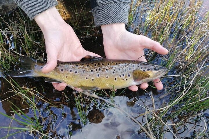Best Fishing and Hiking on Ring of Kerry Freshwater or Sea 3