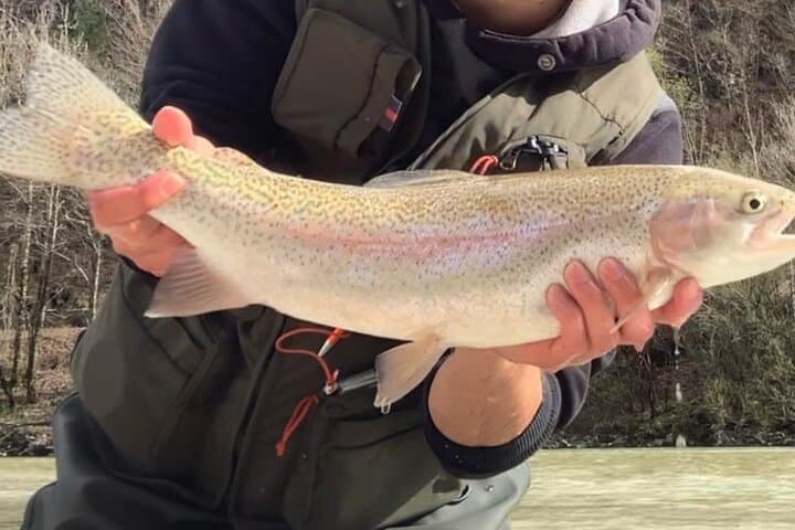 Full Day Private Guided Fishing Charter along the Isonzo Front 2