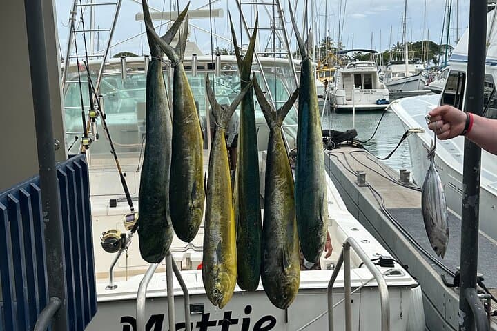 Waikiki Deep Sea Fishing Charter from Oahu 3