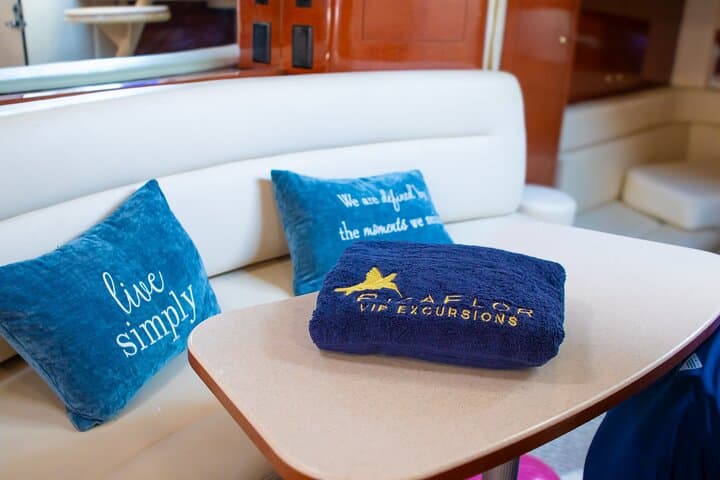 Yacht Charter/Excursion Party Boat with Open Bar in Punta Cana 2