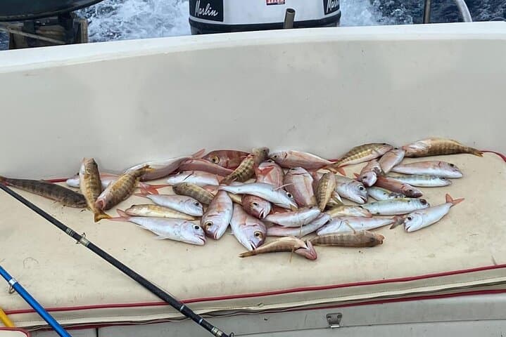 Traditional Fishing Experience in Zakynthos 5