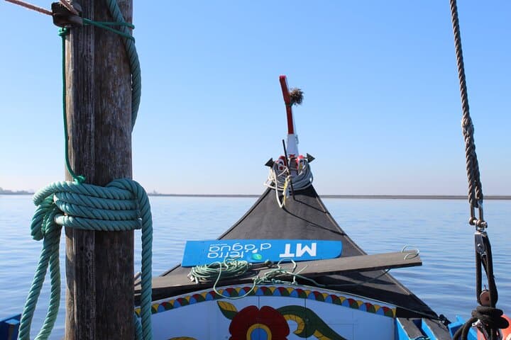 Moliceiro boat trip, with experience in bivalves harvesting
