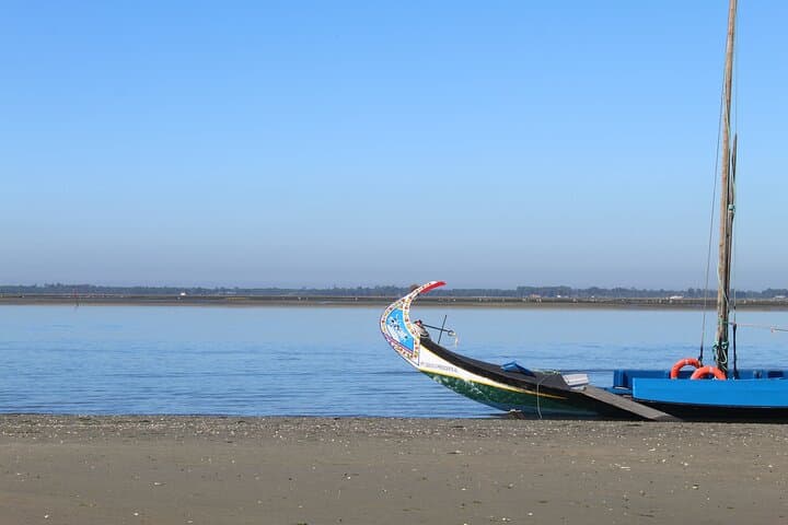 Moliceiro boat trip, with experience in bivalves harvesting 2
