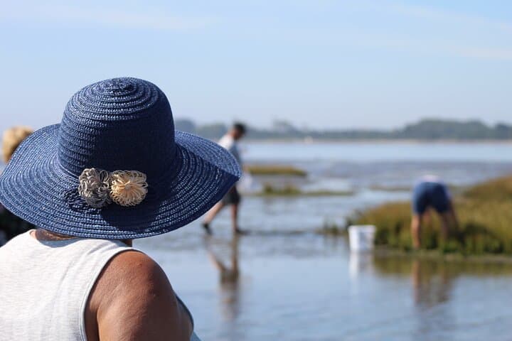 Moliceiro boat trip, with experience in bivalves harvesting 4