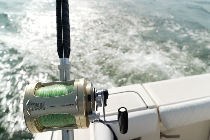 Exclusive professional fishing experience in the Gulf of Naples 5