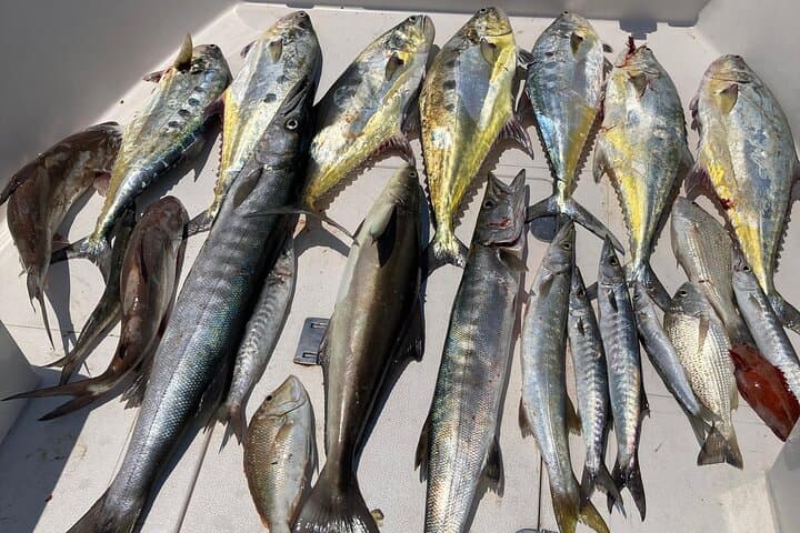 4 Hour Shared Deep Sea Fishing Experience from Port Rashid 2