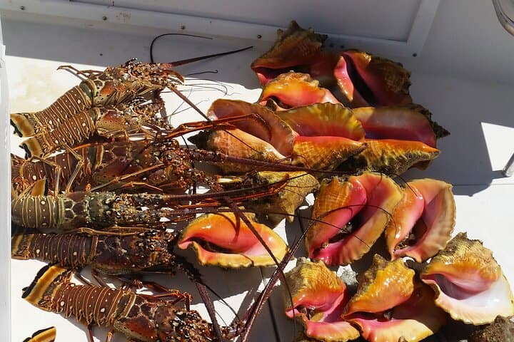 Private Snorkeling And Fishing Activity 3