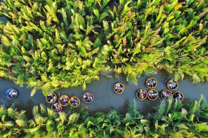 Experience Basket Boat Ride in Water Coconut Forest 3