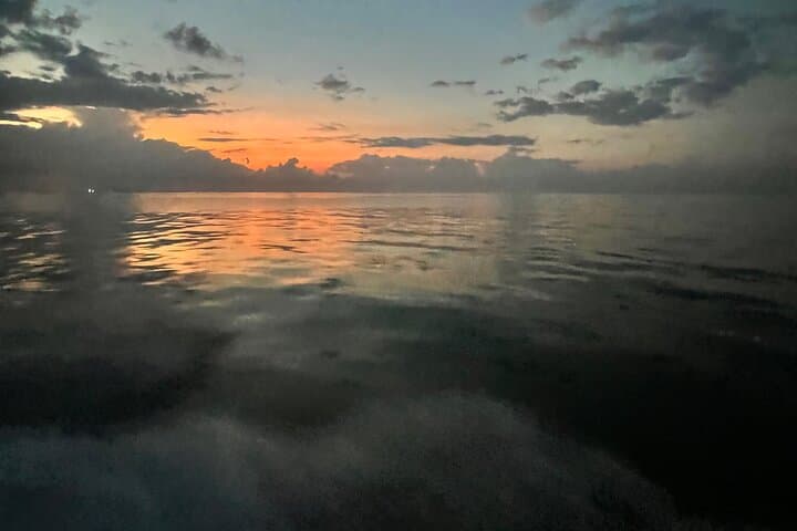 Stingray City and Snorkeling Private Charter 5