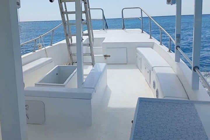 2 Hours Turtle Feeding, Shipwreck & Reef Snorkeling Tour Barbados 4