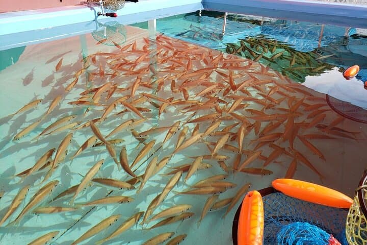 Seawater Fishing Pond and Hamayaki Grill BBQ Experience 3