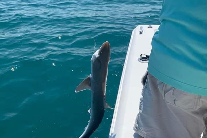 Private 8 hour Fishing Activity with Master Captain Bill 4