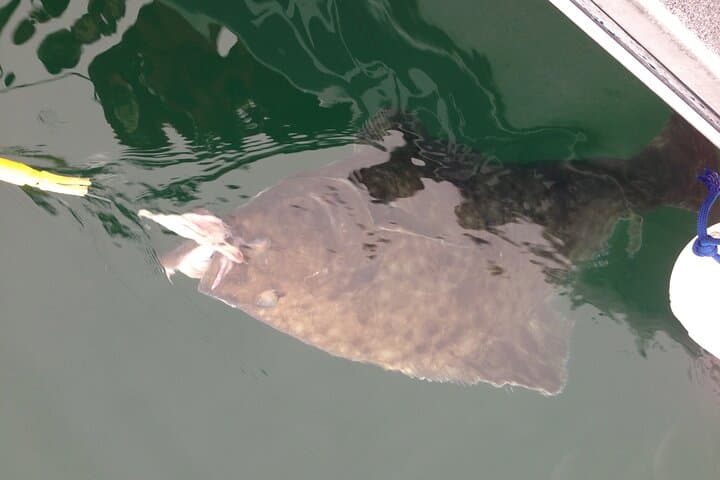 Half Day Halibut Fishing 3