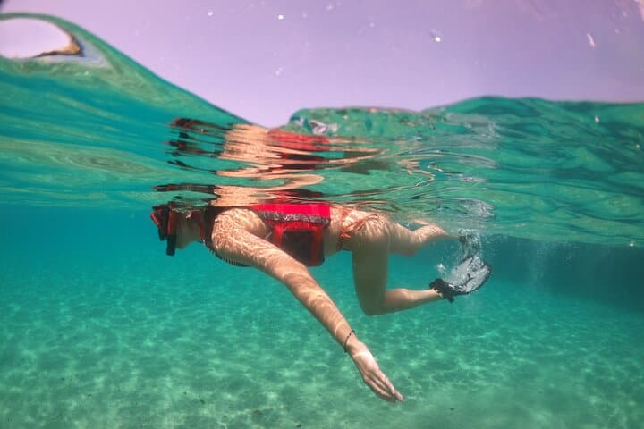 San Juan: Aventura VIP de Snorkel com Tartarugas & Vídeos Grátis - Photo 4