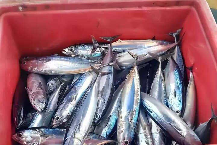 Bali Fishing Charter Private Boat 4