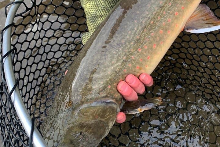 Half Day Walk&Wade (Fly-Fishing / Spin Casting from shore) 5