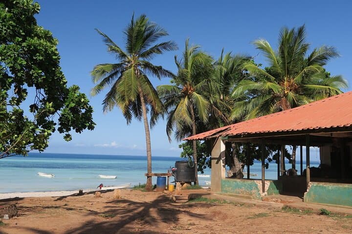 Josani Forest Trip & Dolphin Watching with Transfers – Zanzibar 5