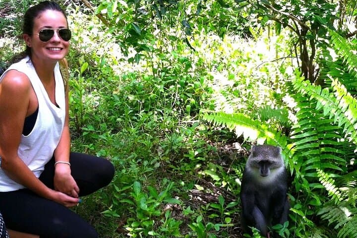 Josani Forest Trip & Dolphin Watching with Transfers – Zanzibar