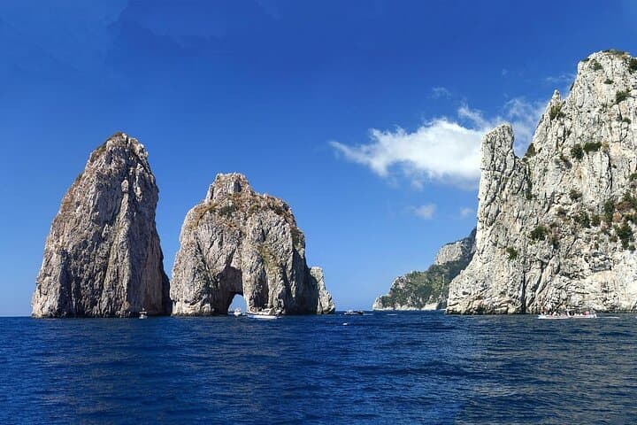 Full Day Fishing Tour in Sorrento 5