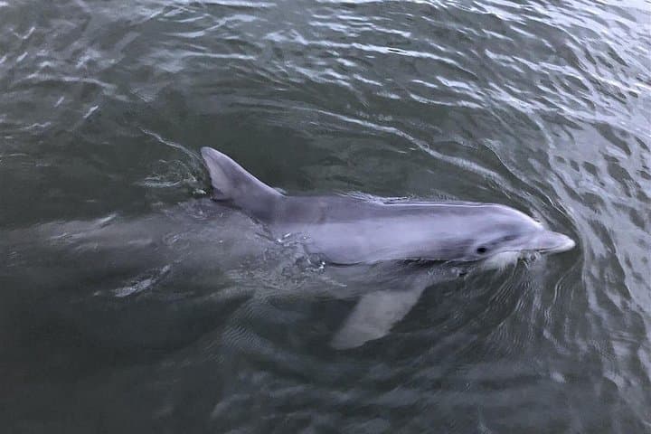 Aventura de Pesca Familiar Privada de 3 Horas para Hasta 6 Invitados - Photo 4