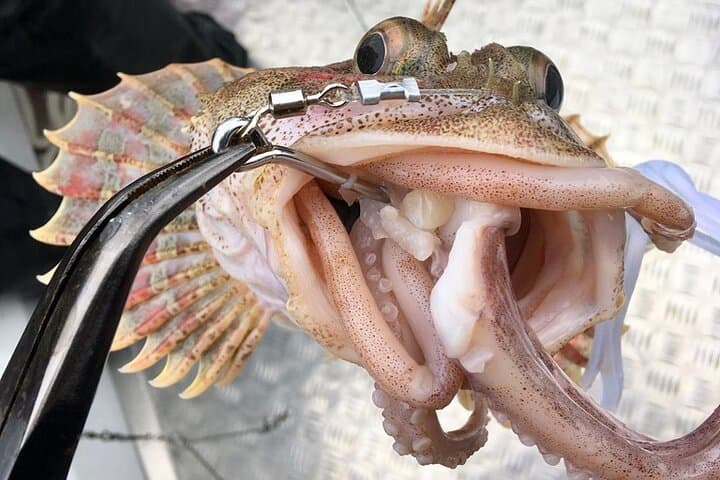 Sitka Eco-Friendly Catch & Release Private Fishing Charter 5