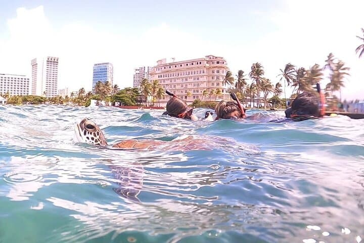 Aventura de Snorkeling em Família em San Juan: Explore o Oceano Juntos - Photo 5