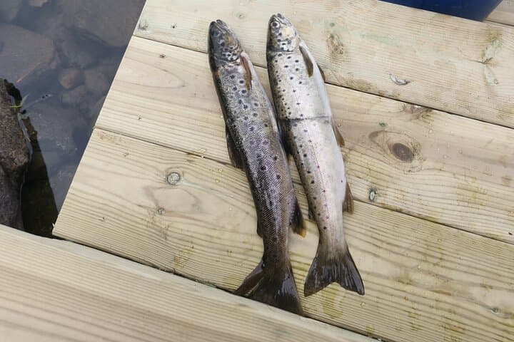 Fishing Experience by Boat on Aksdalsvannet.  5
